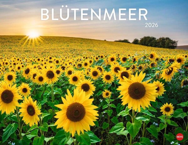 Heye Monats-Wandkalender Blütenmeer 2026, 1 St.