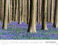 Heye Monats-Wandkalender Blütenmeer 2026, 1 St.