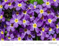 Heye Monats-Wandkalender Blütenmeer 2026, 1 St.