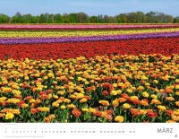 Heye Monats-Wandkalender Blütenmeer 2026, 1 St.