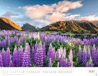 Heye Monats-Wandkalender Blütenmeer 2026, 1 St.