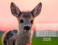 Weingarten Monats-Wandkalender Heimische Wildtiere 2026,...