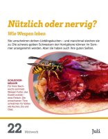 Harenberg Abreißkalender Was ist Was 2026, 1 St.