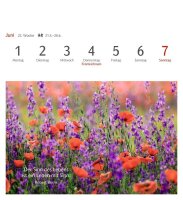 Harenberg Postkartenkalender Momente des Glücks 2026, 1 St.