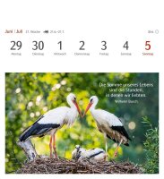 Harenberg Postkartenkalender Momente des Glücks 2026, 1 St.