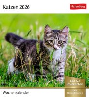 Harenberg Postkartenkalender Katzen 2026, 1 St.