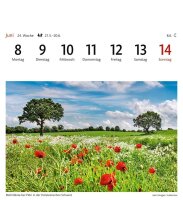 Harenberg Postkartenkalender Deutschland 2026, 1 St.