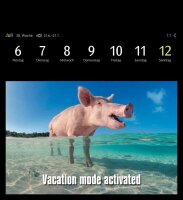 Harenberg Postkartenkalender Animals Memes 2026, 1 St.