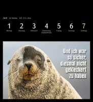 Harenberg Postkartenkalender Animals Memes 2026, 1 St.
