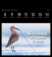 Harenberg Postkartenkalender Animals Memes 2026, 1 St.