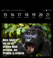 Harenberg Postkartenkalender Animals Memes 2026, 1 St.
