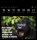 Harenberg Postkartenkalender Animals Memes 2026, 1 St.