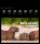 Harenberg Postkartenkalender Animals Memes 2026, 1 St.