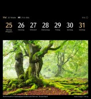 Harenberg Postkartenkalender Farbenwelt 2026, 1 St.