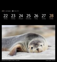 Harenberg Postkartenkalender Farbenwelt 2026, 1 St.