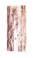 HAKU Möbel Wandgarderobe 17989 Holzmaserung Metall 6...