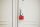 ABUS Vorhängeschloss myLock T65AL/40 rot, 1 St.