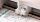 cricut™ Maker 4 Schneideplotter salbei, 1 St.