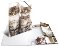 HERMA Sammelmappen DIN A4 Katzen, 3 St.