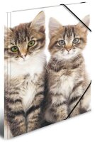 HERMA Sammelmappen DIN A4 Katzen, 3 St.