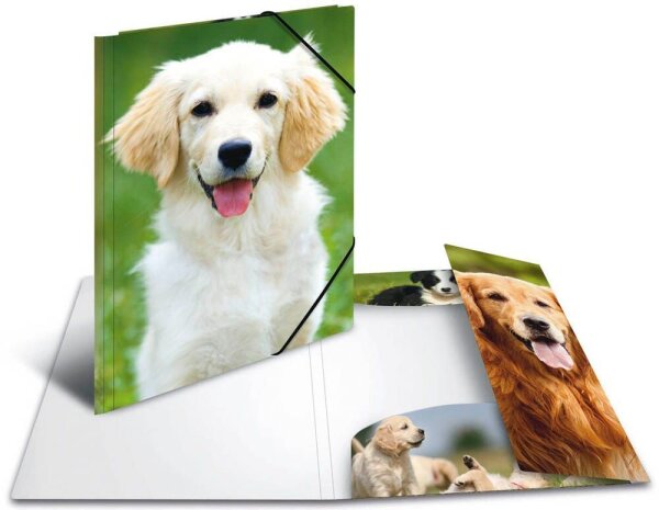 HERMA Sammelmappen DIN A4 Hunde, 3 St.