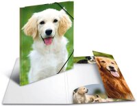 HERMA Sammelmappen DIN A4 Hunde, 3 St.
