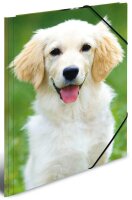 HERMA Sammelmappen DIN A4 Hunde, 3 St.