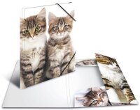 HERMA Zeichenmappen DIN A3 Katzen, 3 St.