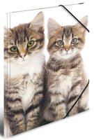 HERMA Zeichenmappen DIN A3 Katzen, 3 St.