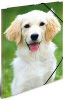 HERMA Zeichenmappen DIN A3 Hunde, 3 St.
