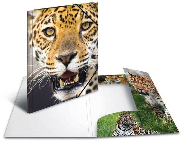 HERMA Sammelmappen DIN A4 Leoparden, 3 St.