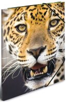 HERMA Sammelmappen DIN A4 Leoparden, 3 St.