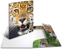 HERMA Zeichenmappen DIN A3 Leoparden, 3 St.