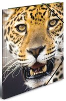 HERMA Zeichenmappen DIN A3 Leoparden, 3 St.