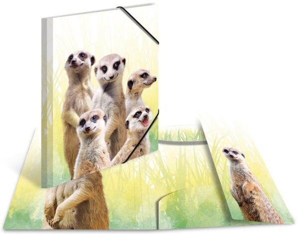 HERMA Sammelmappen DIN A4 Erdmännchen, 3 St.