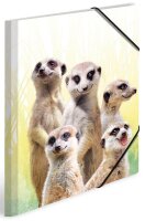 HERMA Sammelmappen DIN A4 Erdmännchen, 3 St.