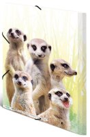HERMA Sammelmappen DIN A4 Erdmännchen, 3 St.