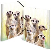 HERMA Sammelmappen DIN A4 Erdmännchen, 3 St.