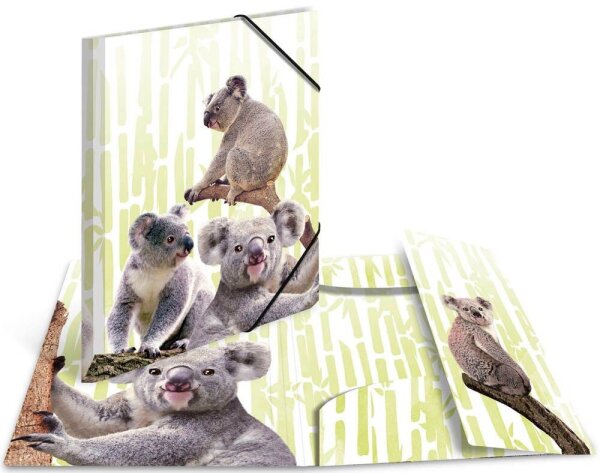 HERMA Sammelmappen DIN A4 Koalas, 3 St.