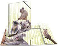 HERMA Sammelmappen DIN A4 Koalas, 3 St.