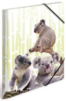 HERMA Sammelmappen DIN A4 Koalas, 3 St.