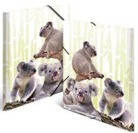 HERMA Sammelmappen DIN A4 Koalas, 3 St.