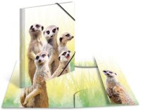 HERMA Zeichenmappen DIN A3 Erdmännchen, 3 St.