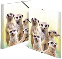 HERMA Zeichenmappen DIN A3 Erdmännchen, 3 St.