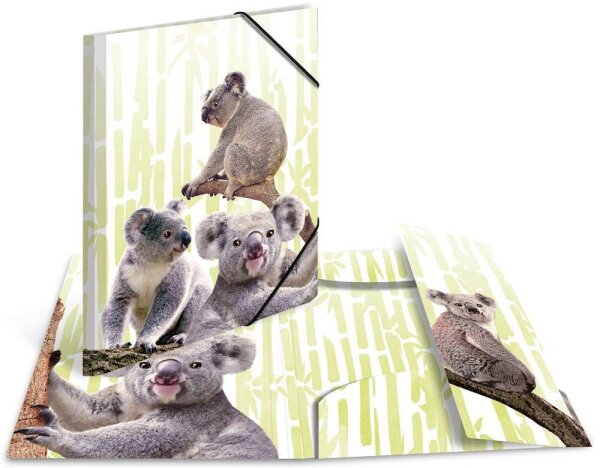 HERMA Zeichenmappen DIN A3 Koalas, 3 St.