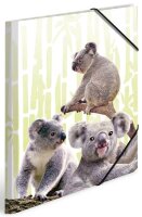 HERMA Zeichenmappen DIN A3 Koalas, 3 St.