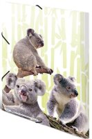 HERMA Zeichenmappen DIN A3 Koalas, 3 St.