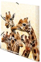 HERMA Sammelmappen DIN A4 Giraffen, 3 St.