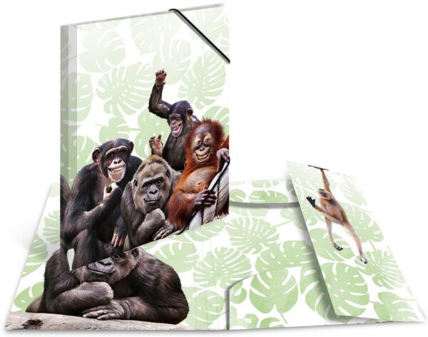 HERMA Sammelmappen DIN A4 Affen, 3 St.