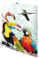 HERMA Zeichenmappen DIN A3 Papageien, 3 St.